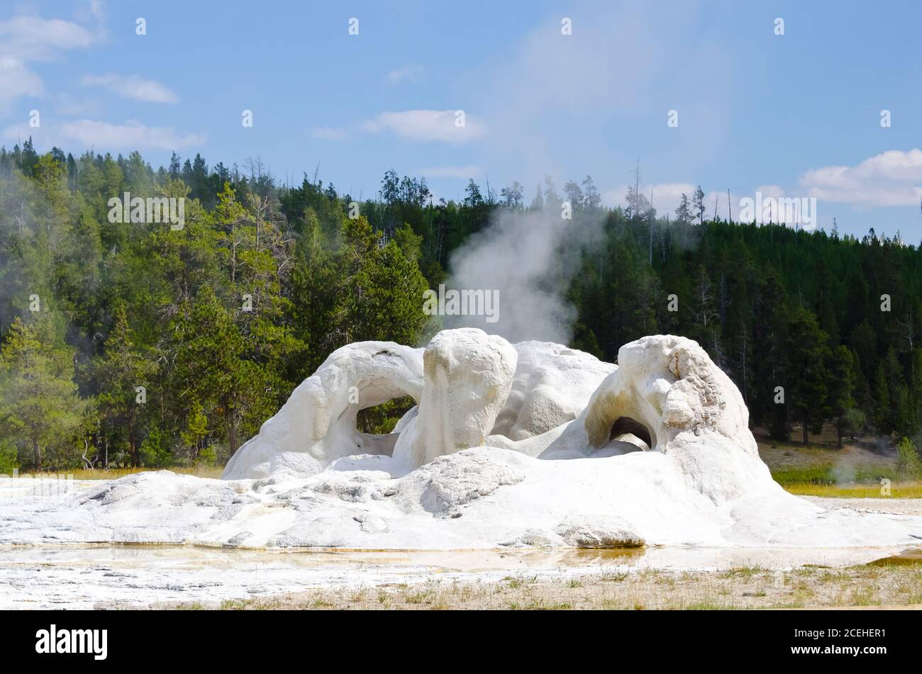 Yellowstone National Park, USA Stockfoto