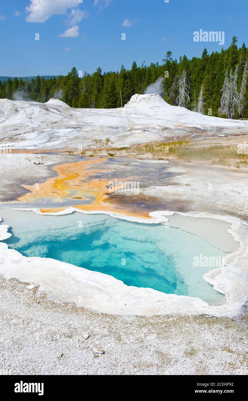 Yellowstone National Park, USA Stockfoto