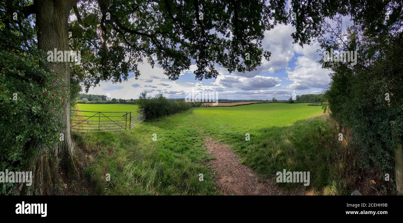 Englands Grüne und angenehme Land Blick Ove Farm Land in der Nähe von Droitwich, Worcestershire, Großbritannien Stockfoto