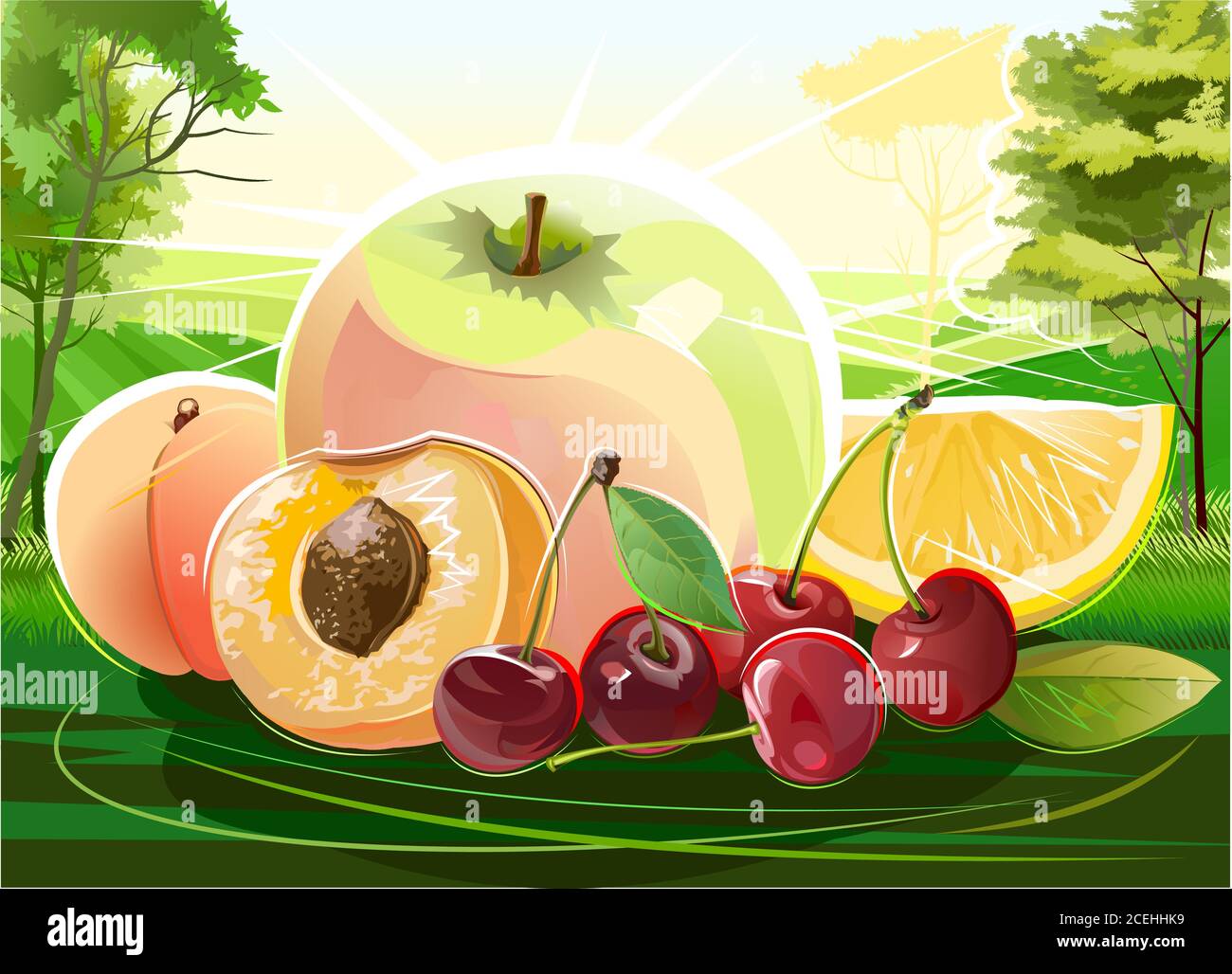 Sommerfrüchte. Stillleben vor dem Hintergrund der Landschaft. Vektorgrafik. Apfel, Aprikose, Pfirsich, Kirsche, Orange. Im Hintergrund Stock Vektor