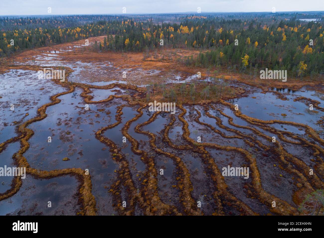 Eine Luftaufnahme von einzigartigen Aapa-Muren in Nordfinnland während des Herbstlaubes. Stockfoto