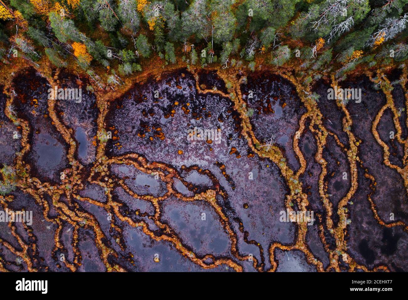 Eine Luftaufnahme von einzigartigen Aapa-Muren in Nordfinnland während des Herbstlaubes. Stockfoto