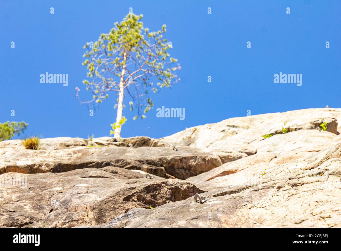 Nahaufnahme des Stahlankers an einer Felswand. Outdoor-Ausrüstung. Kletterbahn von Befestigungsschrauben. Bolzen in die Klippe eingehämmert, die für die Versicherung verwendet wird Stockfoto