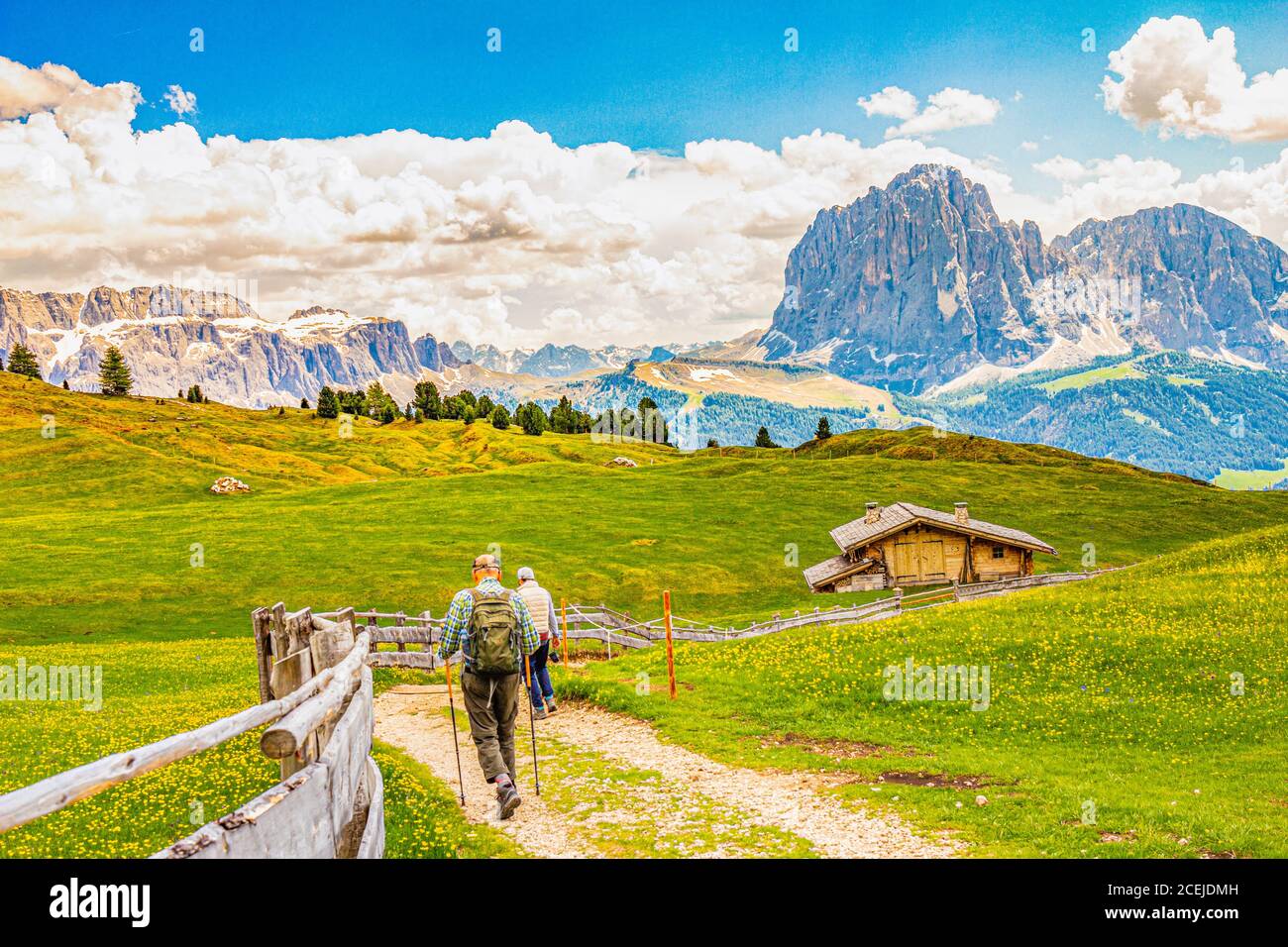 Zwei ältere Männer wandern auf dem Seceda-Gipfel in der Hintergrundansicht des Langkofels oder Langkofel auf dem Weg ins Dorf St. Christina in Gröden Stockfoto
