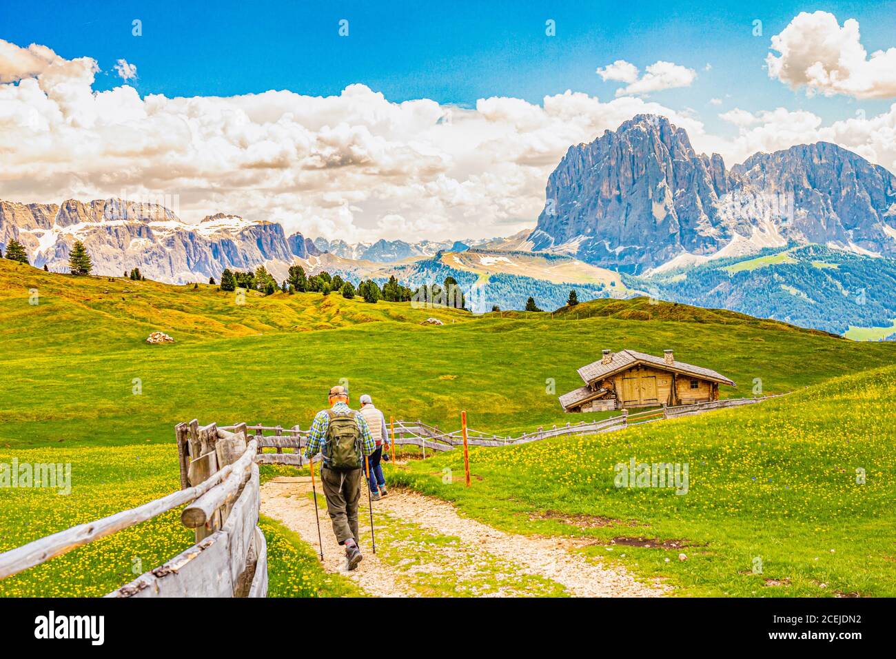 Zwei ältere Männer wandern auf dem Seceda-Gipfel in der Hintergrundansicht des Langkofels oder Langkofel auf dem Weg ins Dorf St. Christina in Gröden Stockfoto