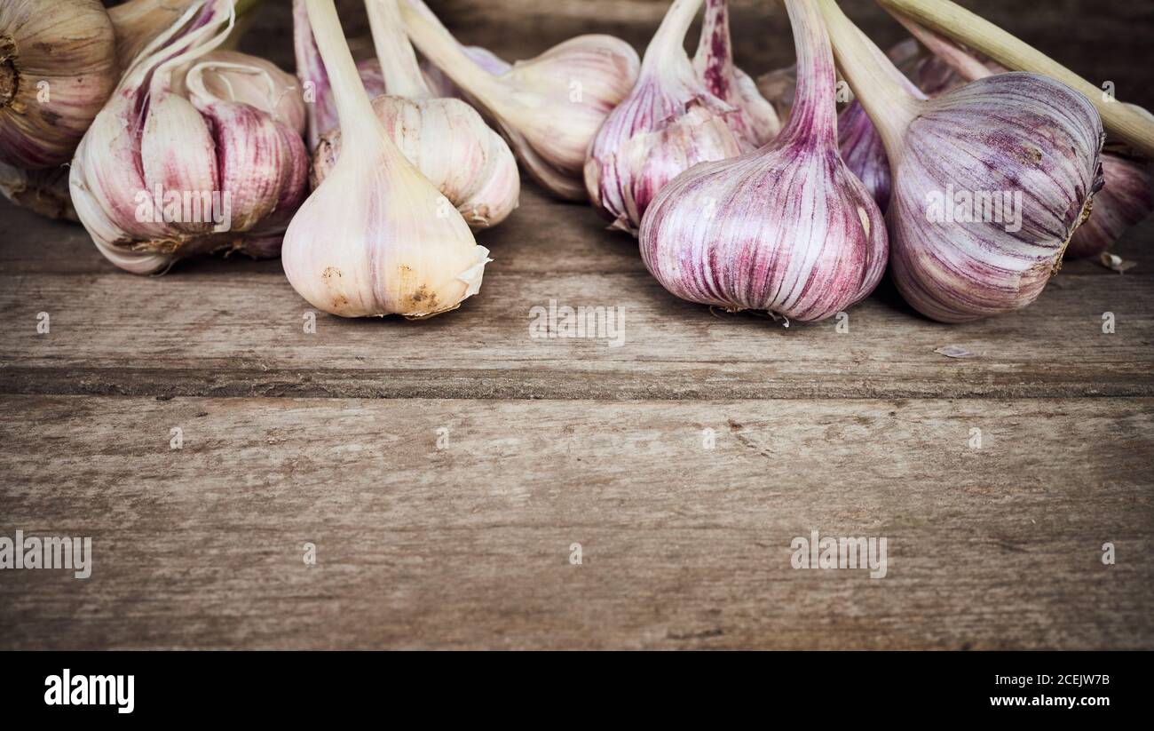 Bio-Knoblauch auf einem Holztisch, selektiver Fokus, Platz für Text. Stockfoto