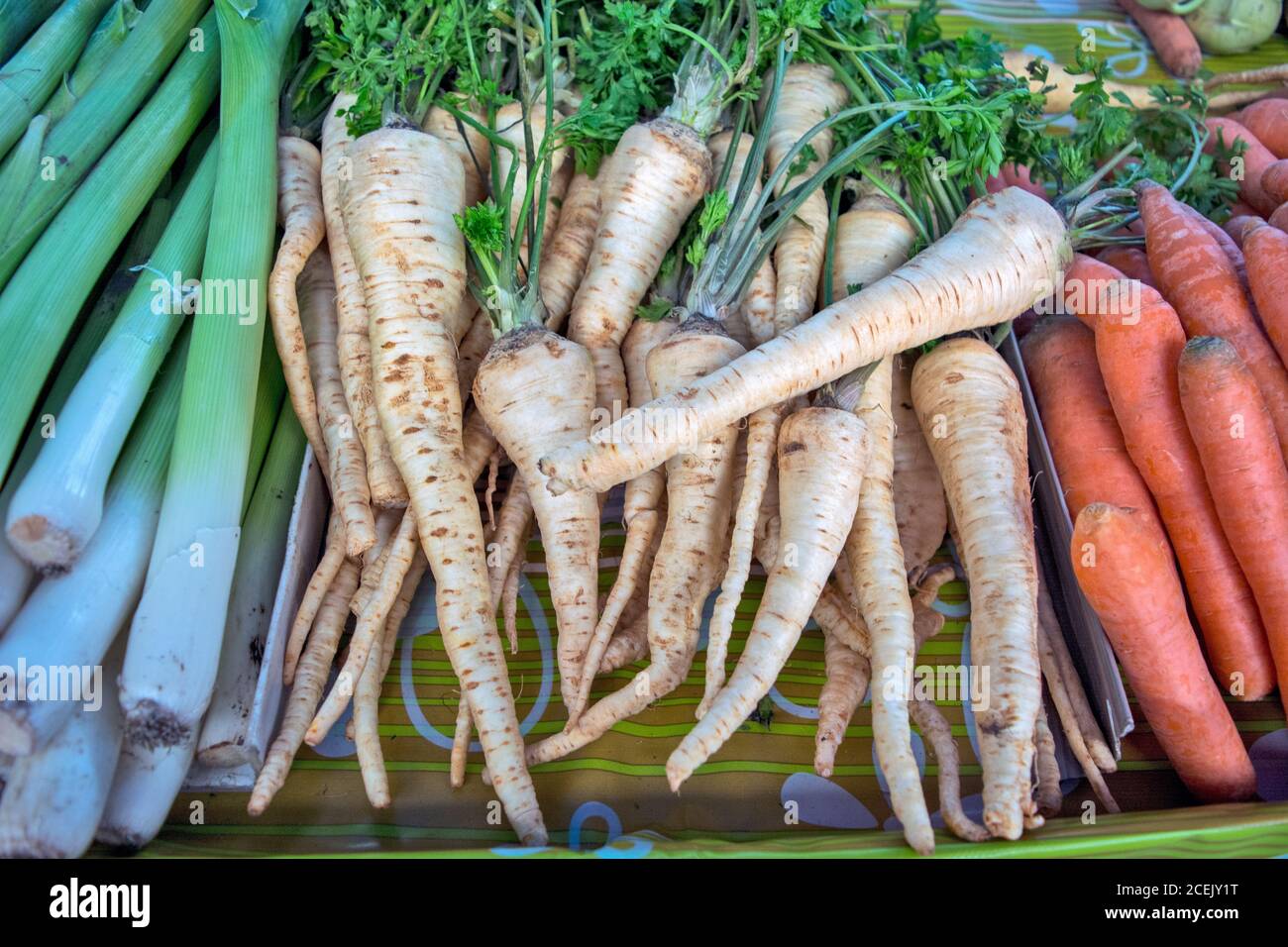 Bieten Sie auf dem Markt Karotten, Pastinaken und Lauch auf der Theke zu kaufen. Gemüse ist gesund und voller Vitamine. Stockfoto