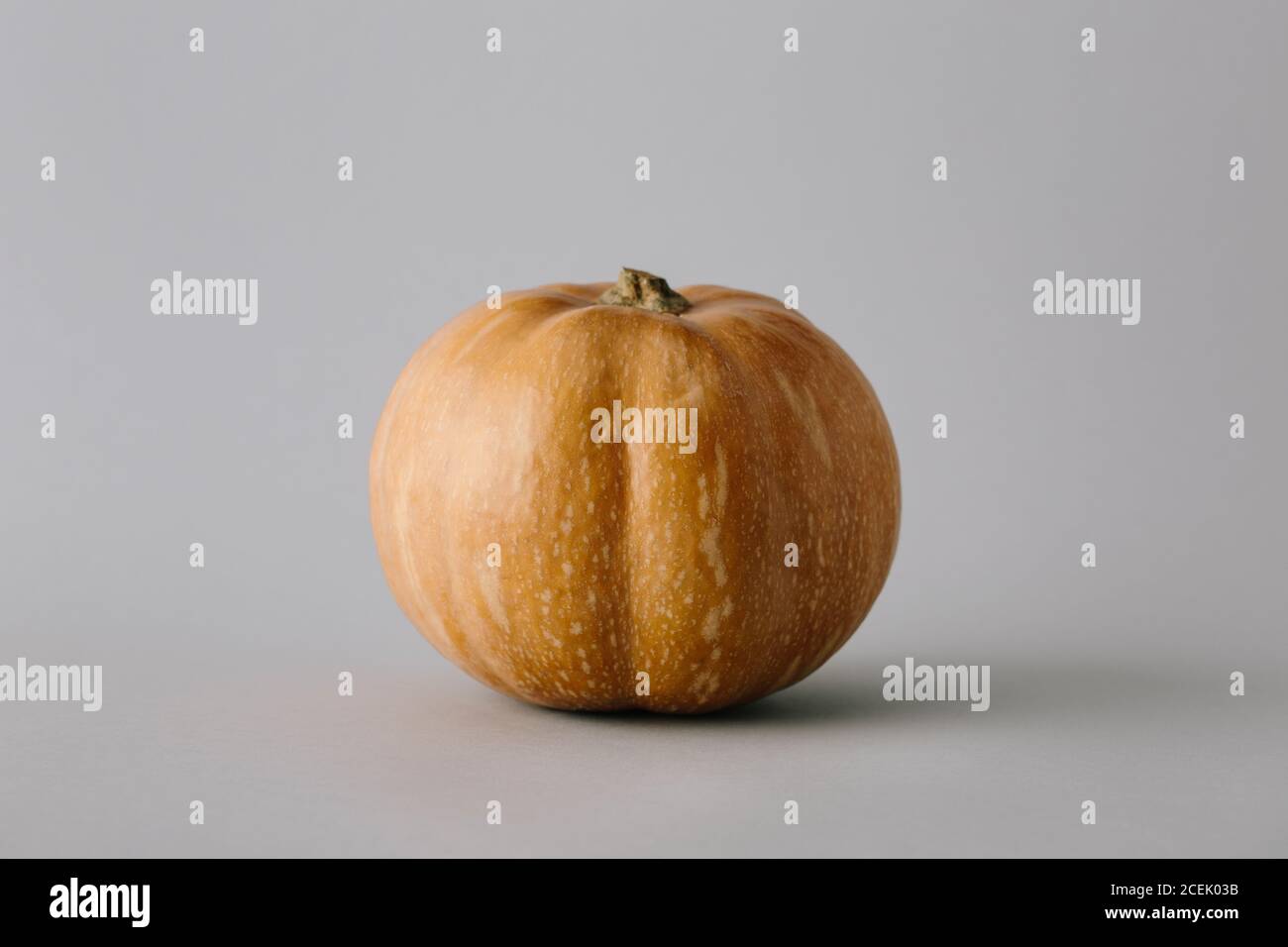 Lebhafter, reifer Kürbis Stockfoto