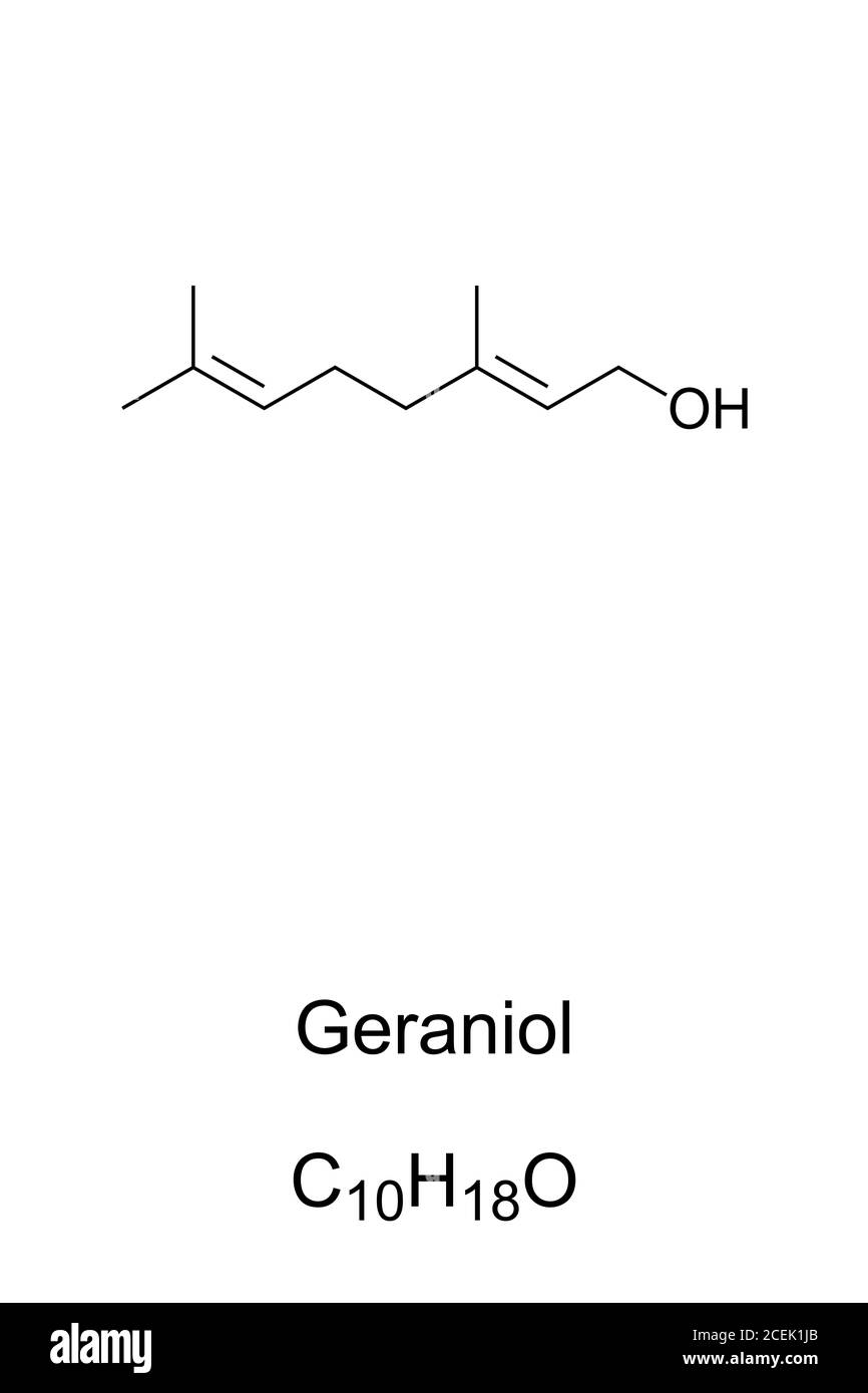 Geraniol, chemische Struktur. Hauptbestandteil von Rosenöl und Citronella-Öl. Gebräuchlicher Zusatzstoff in der Parfüm- und Kosmetikindustrie als Aromastoff. Stockfoto
