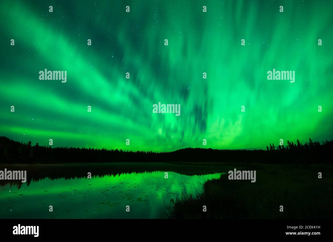 Nordamerika; Vereinigte Staaten; Alaska; Tonglen See; Winter; Nacht; Sterne; Himmel; Natürliches Phänomen; Aurora Borealis; Nordlichter. Stockfoto