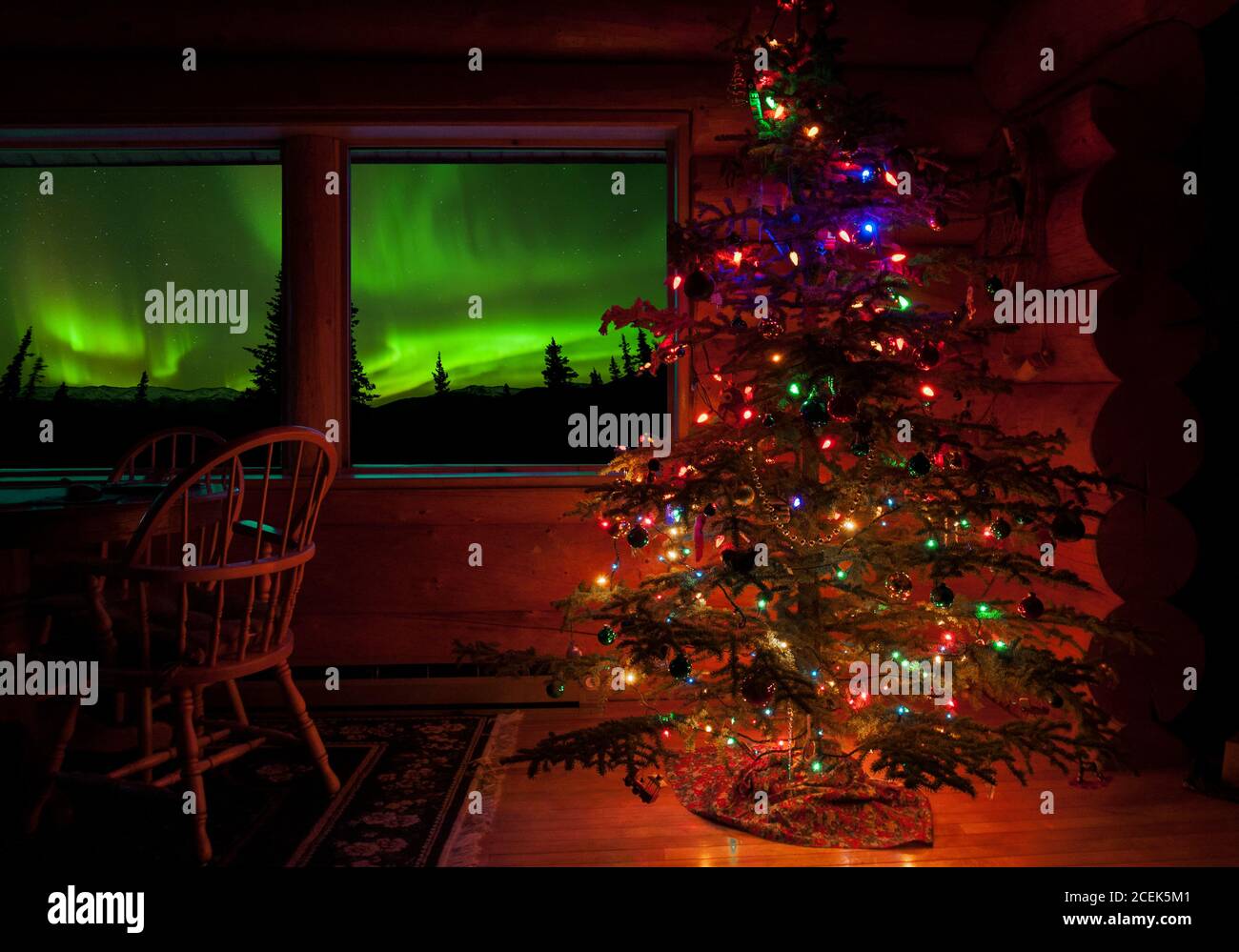 Nordamerika; Vereinigte Staaten; Alaska; Nenana River Valley; Nacht; Naturphänomene; Aurora Borealis; Feiertag; Weihnachtsbaum. Stockfoto