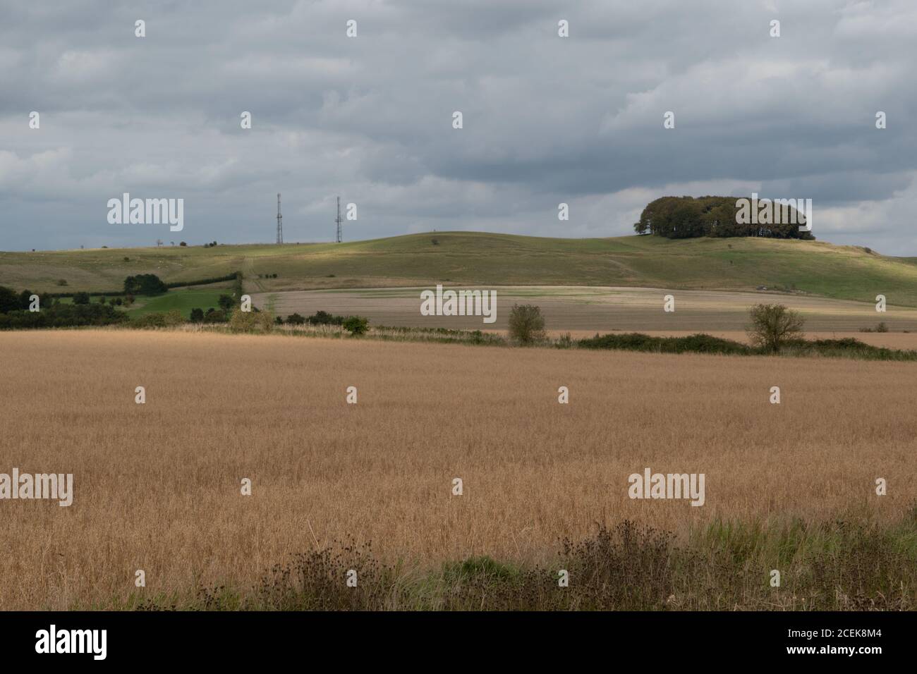 Ort der Schlacht von Roundway Hill, Devizes, Wiltshire, Großbritannien. Eine der Schlachten des ersten englischen Bürgerkrieges 1643 Stockfoto