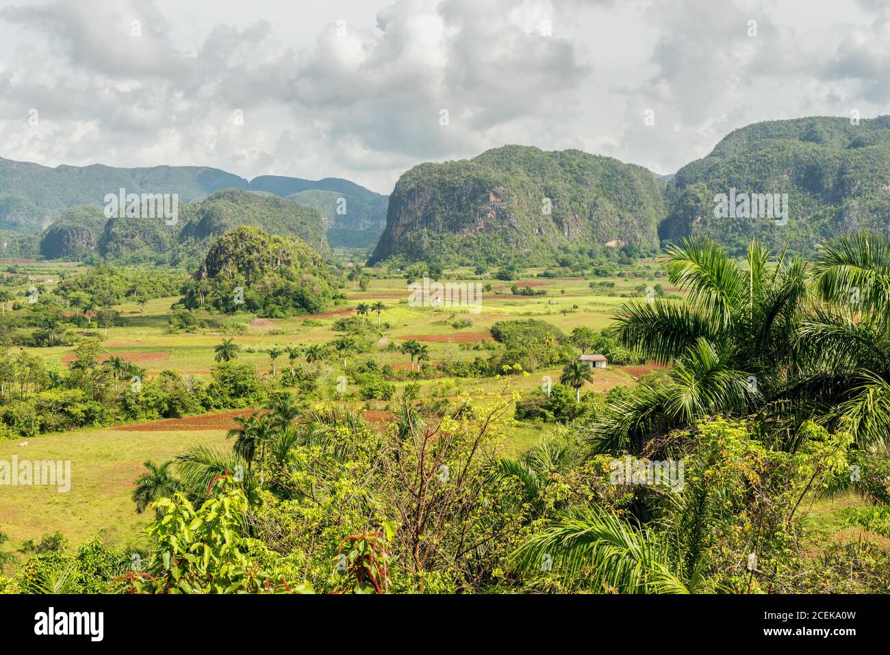 Das Vinales-Tal in Kuba, berühmt für seine natürliche Schönheit und die Qualität des in der Gegend angebauten Tabaks Stockfoto