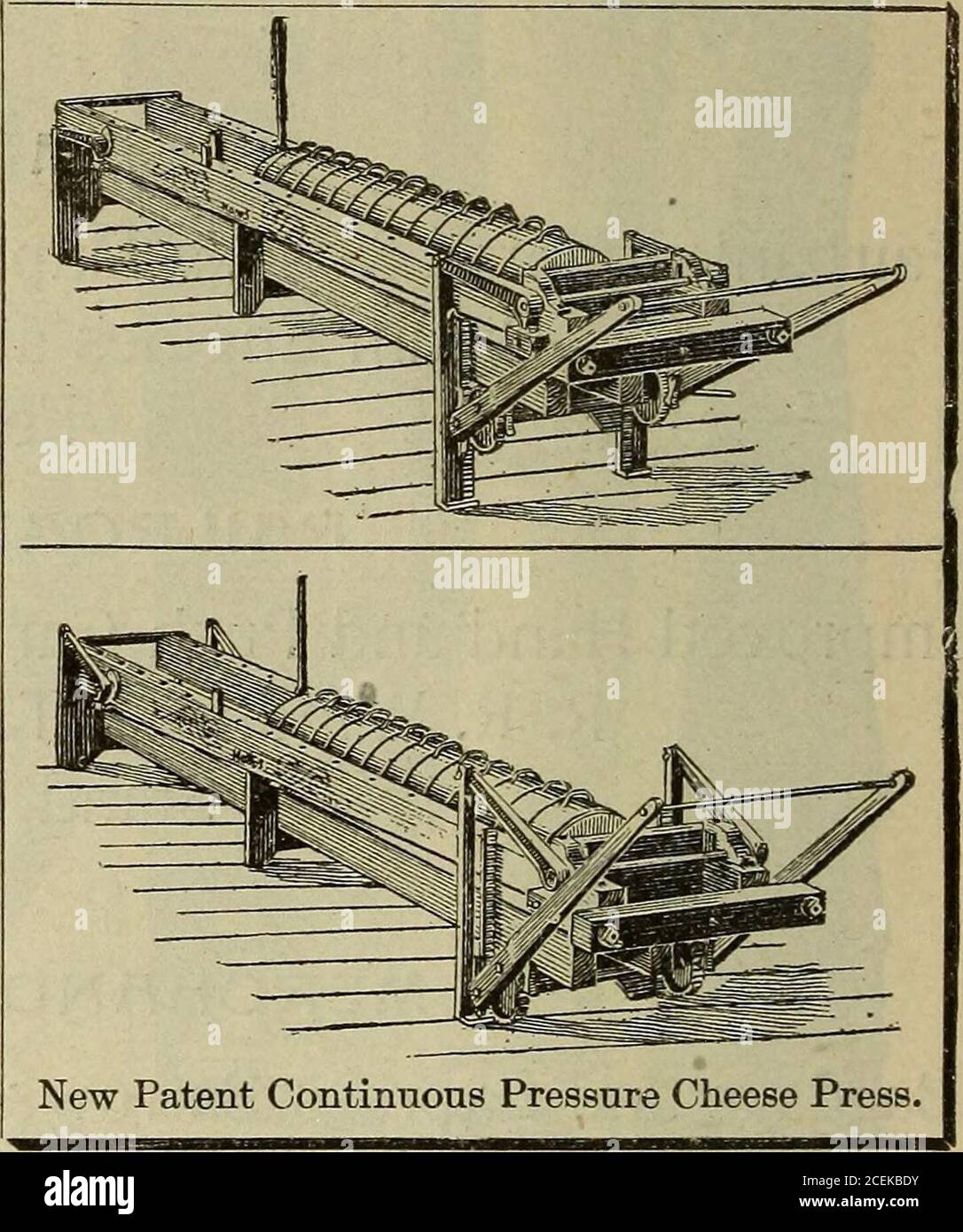 . Das offizielle Verzeichnis der kolumbianischen Weltausstellung vom 1. Mai bis 30. Oktober 1893. Ein Nachschlagewerk der Aussteller und Exponate; der Offiziere und Mitglieder der weltkolumbianischen kommission, der Weltausstellung in Kolumbien und des Verwaltungsrates der Damen; eine vollständige Geschichte der Ausstellung. Zusammen mit genauen Beschreibungen aller staatlichen, territorialen, ausländischen, abteilungs- und anderen Gebäuden und Exponaten sowie allgemeinen Informationen zur Messe. ERFINDER UND AANLTACTURERS OP ILL CHEESE FfVGTORY,GREfMERY,DfllRY fPPfVRfTUS^LIEFERT. Neue Alpha Deiavai Creme Separatoren GREA Stockfoto