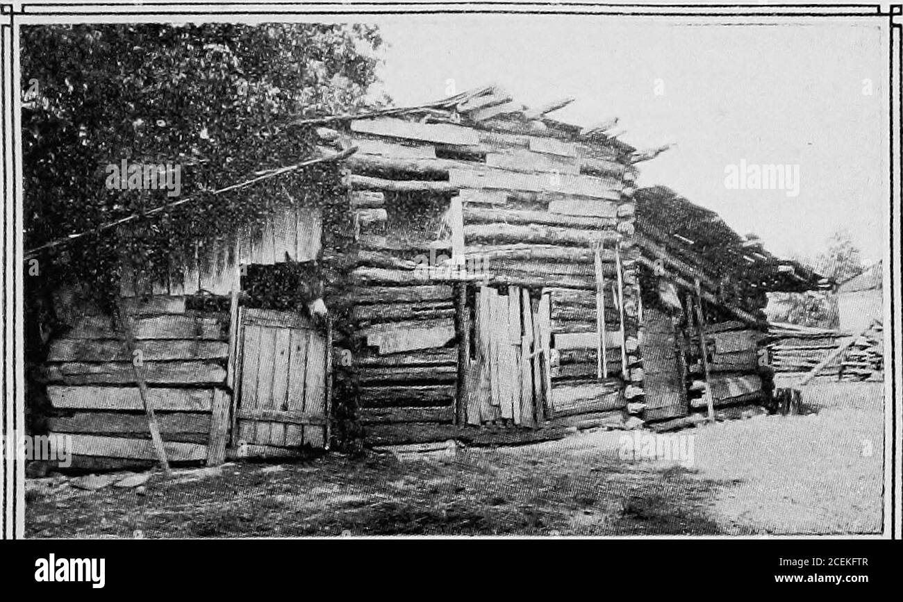. Die Männer der Berge; die Geschichte des südlichen Bergsteigers und seiner Angehörigen des Piemont; mit einer Darstellung einiger der Agenturen des Fortschritts unter ihnen. Prozess. So bereiteten sie ihren Garten vor, in welchem Jahr die Tomaten das Wunder des Landes waren. Im April kam Frau Ashton, die jetzt in die Arbeit verstrickt war und dafür Geld eingerichtet hatte, mit ihren beiden anderen Söhnen Robert und Ralph zusammen, beide Stadtjunge, Krankenschwester und Chauffeur, die nie Feldbaum oder auf einer Farm gearbeitet hatten. Aber in kurzer Zeit waren sie Holzleute, Pflüger, Orchardisten, Ziegenhirten und Bienenzüchter geworden. In Ju Stockfoto
