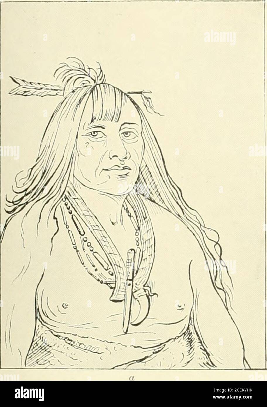 . Jahresbericht des Bureau of American Ethnology an den Sekretär der Smithsonian Institution. Seine zu sagen, über seine Kiowasubjects: Der Chef der Kioways, dessen Name Teh-toot-s.ah ist [Dohasiin, siehe Seite 17.5],fanden wir ein sehr Gentleman und High-minded Mann, der die dr behandelt: Torhüter und Offiziere mit großer Freundlichkeit, während in seinem coimtry. Seine langen Haare, die in mehreren großen Keulen aufgeschlagen und mit vielen silbernen Broschen verziert waren, streckten sich bis zu den Knien. Dieser angesehene Mann, wie auch mehrere andere von Histribe, haben sich bereit erklärt, uns auf dem marsch nach Fort Gib beizutreten Stockfoto