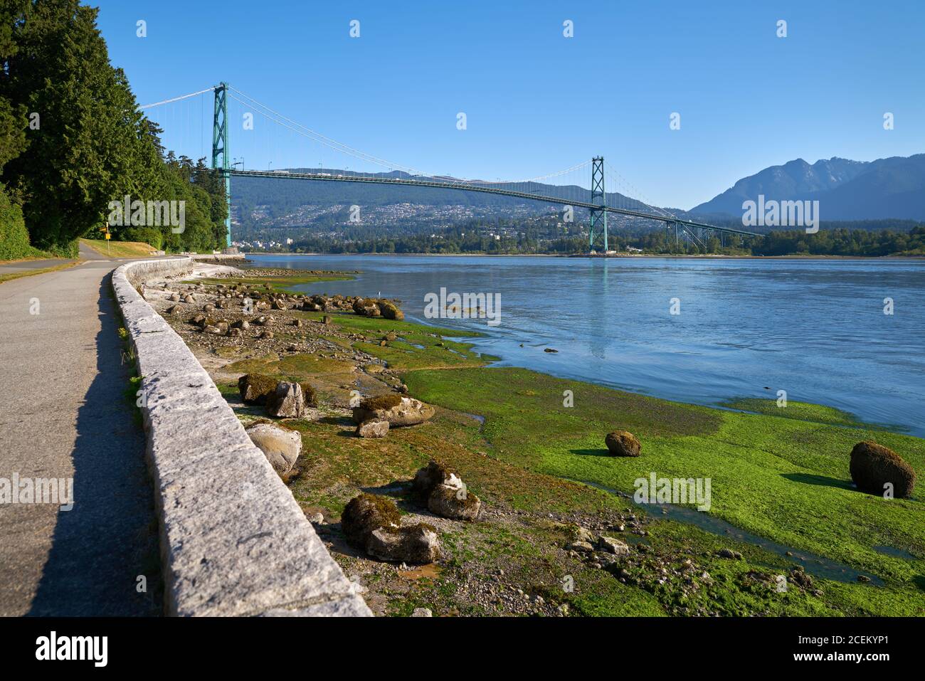 Stanley Park Seawall Lion’s Gate Bridge. Die Ufermauer des Stanley Parks mit Blick auf die Lions Gate Bridge. Vancouver, British Columbia, Kanada. Stockfoto