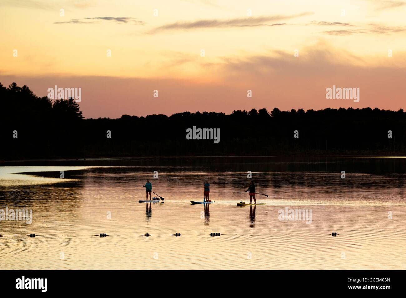 Stand Up Paddle Boarding (SUP) an einem Sommerabend bei Sonnenuntergang am Long Lake in Littleton, Massachusetts, USA. Stockfoto