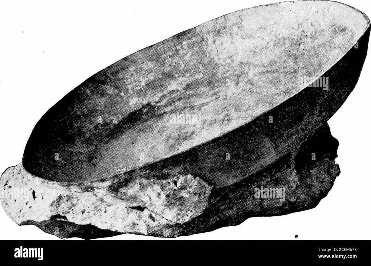 . Bestimmte Altertümer des östlichen Mexikos. Abb. 64. Regengöttin. (Dehesa Collection.) ruwKES] OBJEKTE AUS CEMPOALAN UND XICO 269 sind vorhanden, aber keine Arme oder Beine. Von einer Seite aus gesehen zeigt dieses Bildnis deutliche indische Merkmale im Gesicht, zwei markante Zähne im Oberkiefer, einen Ohrstöpsel und eine Kopfbedeckung, die einem Turkscap nicht unähnlich ist. Um den Hals ist eine Schnur und ein Gürtel umgürtet die Lenden. Appar-ently gab es nie Beine, aber der Stamm ist in einer solchen Weise abgebrochen, um zu suggerieren, dass das Bild früher stand auf einem Sockel. Die Turksfez erinnert an die sogenannte Huaxtec Kappe. Dieses Exemplar waspreyen Stockfoto
