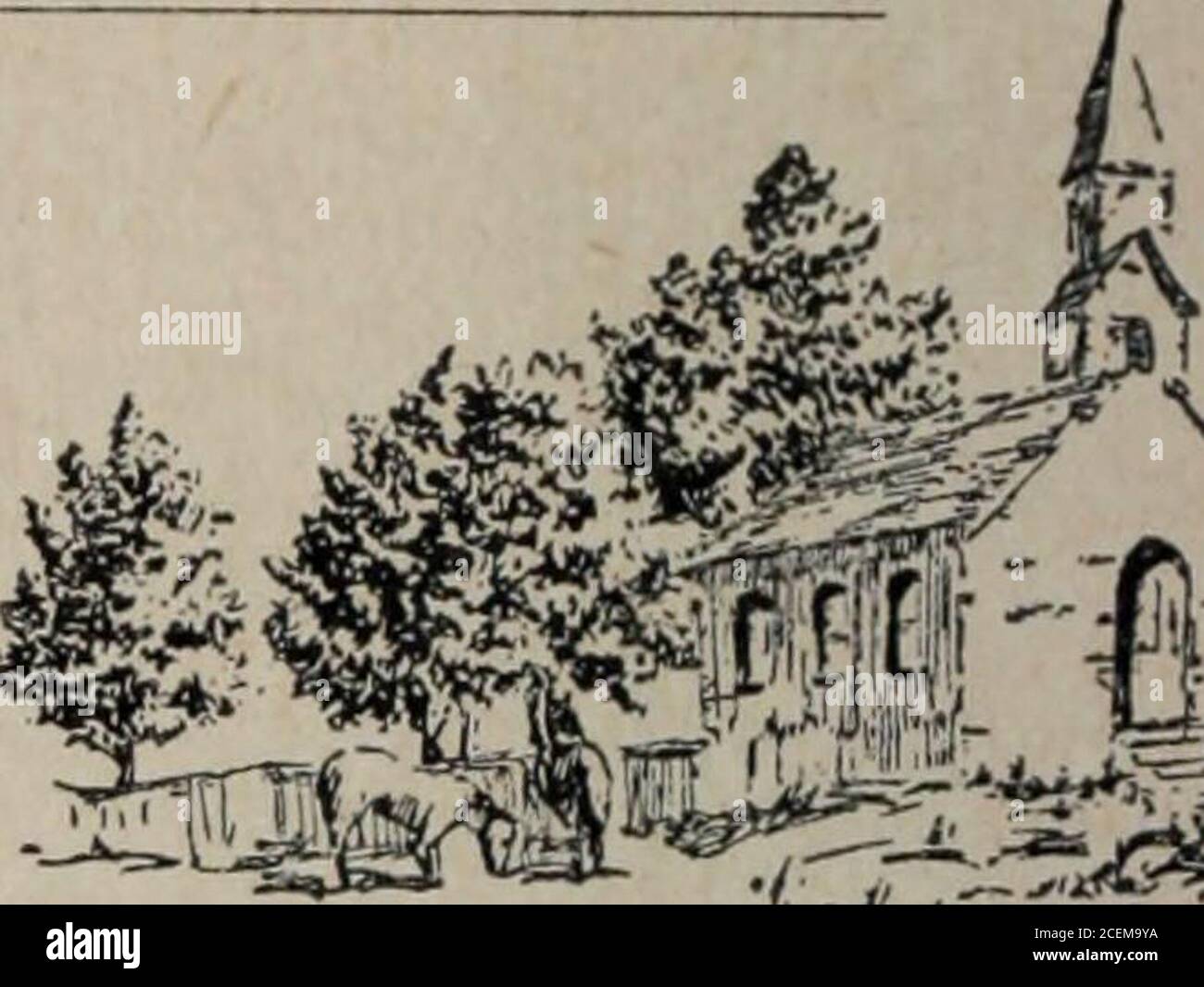 . TE Karere. ach der Formen atlarge. Diese Offiziere werden von den Studierenden jeweils nach australischem Stimmzettel ausgewählt.zwei Fakultätsberater werden vom Principal ernannt, um den StudentCouncil zu beraten. Eine Führungsschule wird zum Nutzen aller neu ausgewählten Verbandsbeauftragten geführt. Die Pflichten, Pflichten erklärt und ausgekleidet. Die Verfassung wird er nachlesen und diskutieren. Studenten werden er taughtparlamentarische Verfahren und wie Sie Sitzungen durchführen . Der Präsident des Studentenvereins ernennt mit Zustimmung des Studentenrates eine Studentenpatrouille, die aus einer bestimmten Nummer besteht Stockfoto