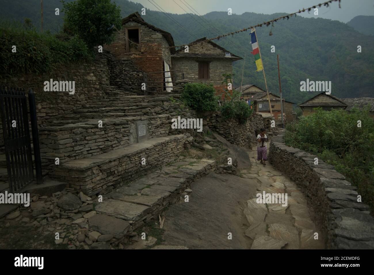 Ein Dorfbewohner, der auf dem Weg durch ein landwirtschaftliches Dorf geht, wo die Gemeinschaft auch Ökotourismus betreibt. Sidhane, Gandaki Pradesh, Nepal. Stockfoto