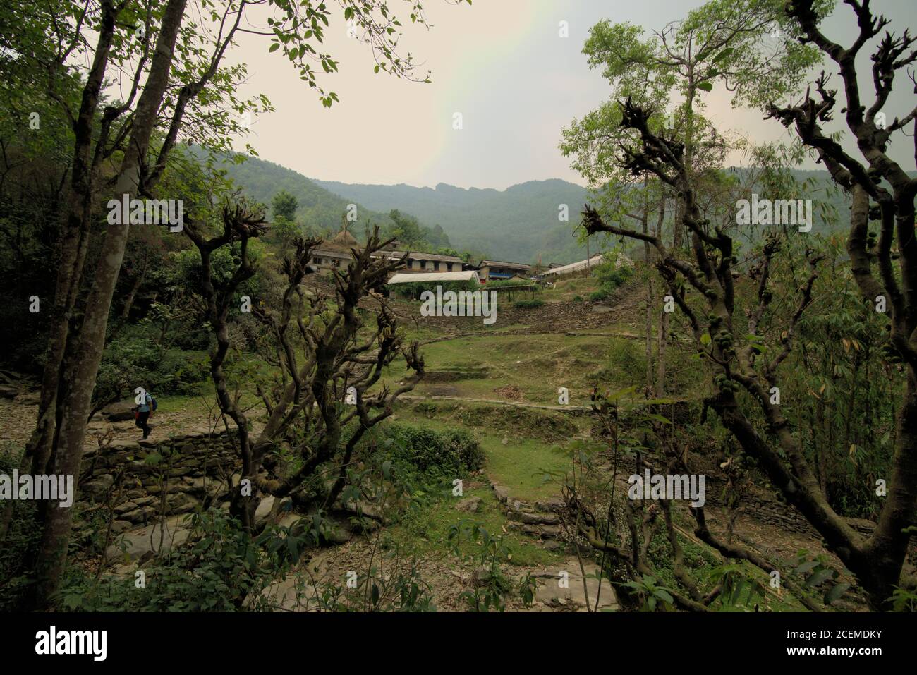 Landwirtschaftliches Dorf Sidhane in Kaski, Nepal, wo die Gemeinde auch Ökotourismus mit Panchase Peaks (Hintergrund) als Hauptattraktion betreibt. Stockfoto