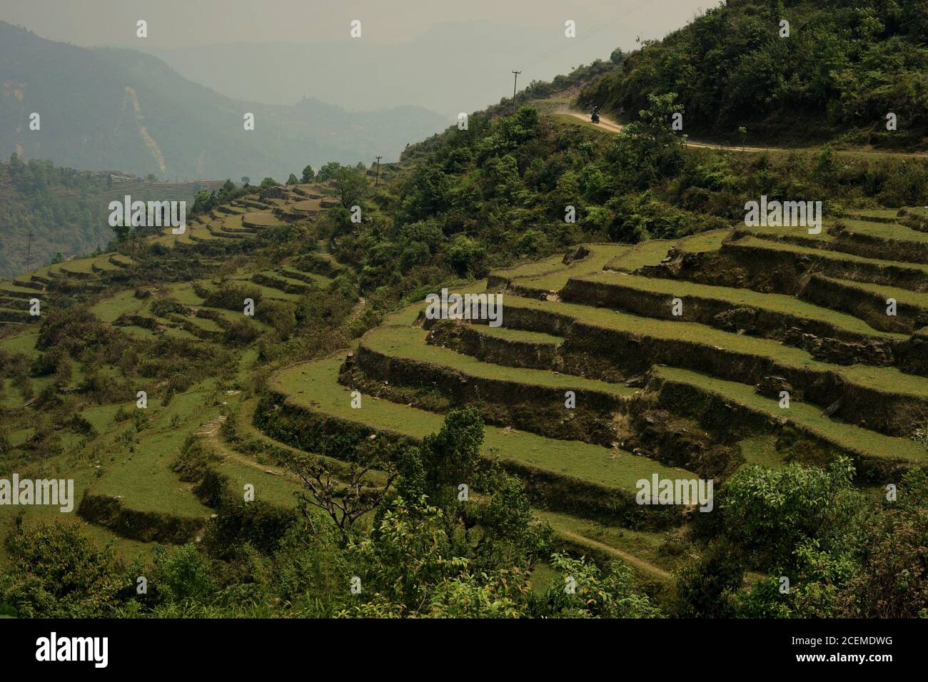 Landwirtschaftliche Terrassen und Landstraße in Sidhane Dorf auf Panchase Bergregion, Gandaki Pradesh, Nepal. Stockfoto