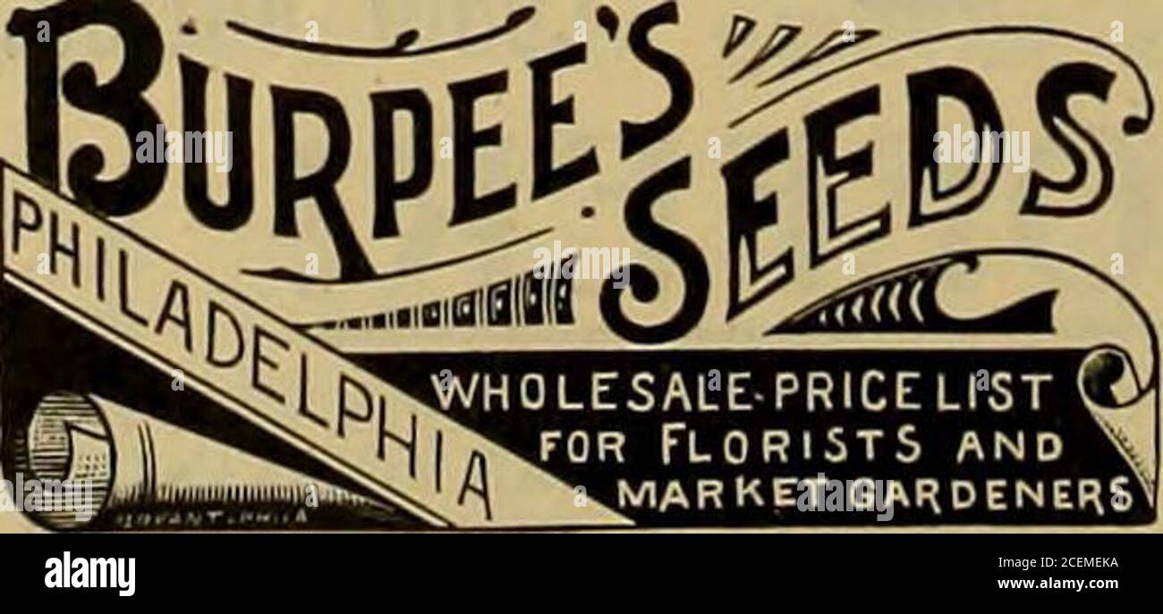 . Der Floristentausch : ein wöchentliches Austauschmedium für Floristen, Baumschulen, Sämlinge und den Handel im Allgemeinen. E pkt., 50c.; double pkt., 75c,; « oz., 1.00 USD; oz., 4.00 USD.Pansy, German, trade pkt., 25c.; double pkt., 40c.; Li oz.. 50 c.; oz. 2.00 US-Dollar.Ciueraria Hybrida, Handel pkt., 50c.; Doppelhandel pkt.. 1.00 Dollar.Oben Samen wurden getestet und gefunden 91 Prozent, neue 1893 Samen. THE MORRIS FLORAL CO., - Morris, III.,Vhpn ^Vritlnr erwähnen FlorlBt. Tauschen Sie emiiniiiiiiiiiiiiiiiiiiiiiiiiiiiiiiiiiiiiiiiiiiiiiiiiiiiiiiiiiiiiiiiiiiiiiiiri!^BESTOFALL TOM ATOI FÜR FOBCINB.   . ^= ENGLISCHE MELONEN! ZUM ERZWINGEN... = Stockfoto