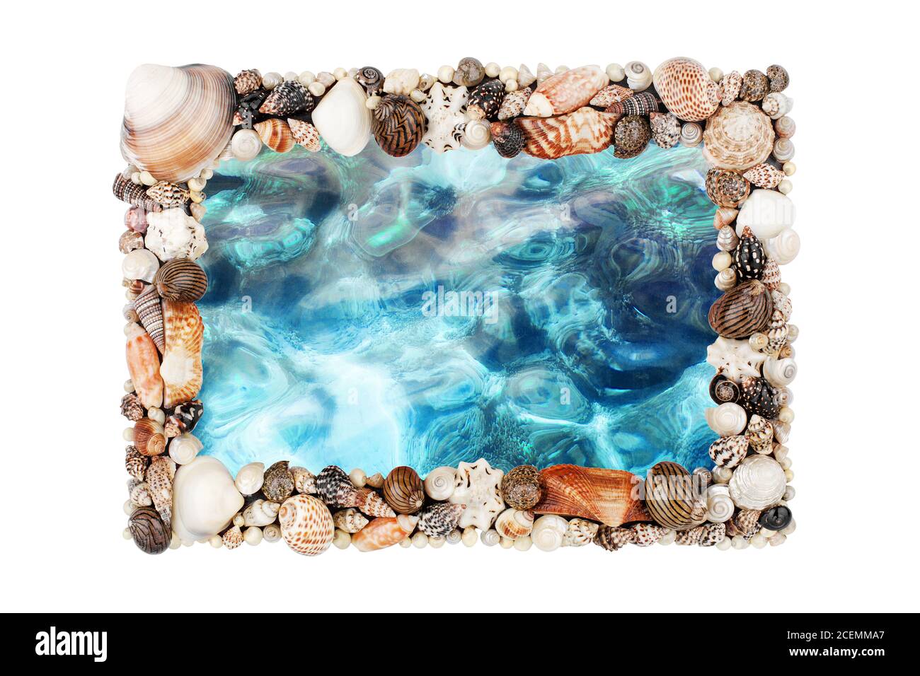 Muscheln, blauer Ozean Wasser Rahmen weißen Hintergrund isoliert Nahaufnahme Draufsicht, Muscheln dekorative Grenze, Sommer Strandurlaub, tropische Insel Stockfoto