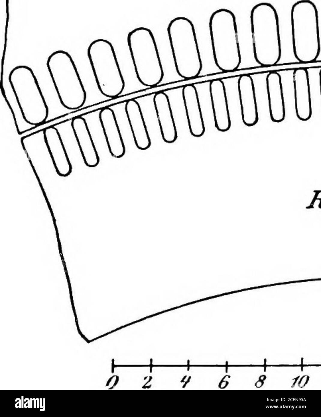 . Ein Lehrbuch der Elektrotechnik;. = 32-5 cm. Rotordurchmesser £) = 90 cm. Der doppelte Luftspalt Z, = 0-15 cm. Gesamtzahl der Statorleiter ...Z^ = 2016. Kombinierte Länge eines Stator- und Rotorzahns = 6 cm.Verhältnis Zahnabstand zu Zahnbreite ... =2-5. Aus diesen Daten erhalten wir folgendes: 3300 Druck pro Phase FJ = ^^ = 1910 Volt. •V3 7 Leiter pro Phase 2^=–1=672. 7 Leiter pro Pol pro Phase... q = –5- = 56. Polarfläche ^„ = !?^jj^ = ^6^ Lass Oo den Gesamtfluss pro Pol sein, der vom Stator im Leerlauf erzeugt wird, da der Druck pro Phase F^ fast genau gleich und entgegengesetzt ist Stockfoto
