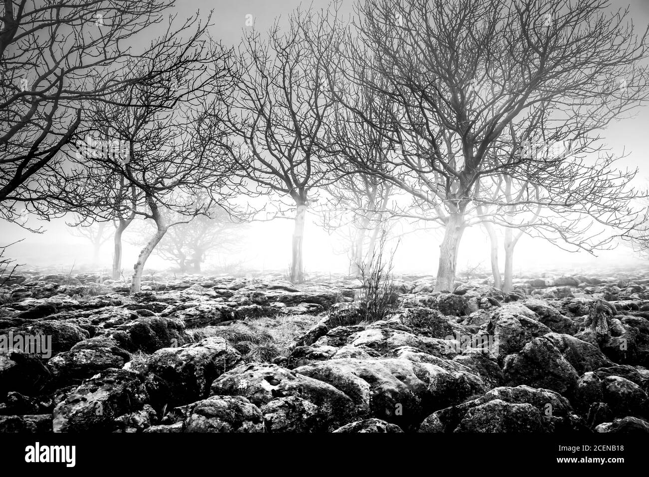 Landschaft von Yorkshire Stockfoto