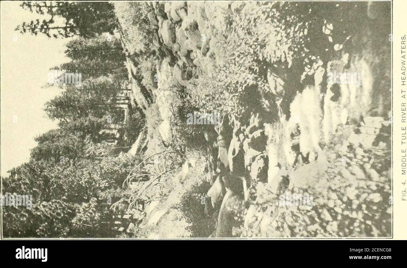 . Bulletin of the Bureau of Fisheries. ILM^. DIE GOLDENE FORELLE. KEKN KIVEK. Kern River ist in gewisser Hinsicht einer der interessantesten Bäche in der Sierras.seine Hauptwässer sind unter dieser Gruppe von erstaunlichen Berggipfel von Tablemountain (14,000 Fuß) in der Great Western Divide nach Osten durch Mount (ieiieva, Crag Ericsson, Leland Stanford University Peak (14,103 Fuß). JunctionPeak (14,000 Fuß), Moimt Tyndall (14,101 Fuß), Mount Williamson (14,448 Fuß).Monts Barnard, Tunnabora, und Wokorope zum Mount Whitney (14,522 Fuß), der höchste und größte von allen. (PI. vi, Abb. 14 und 1. Stockfoto