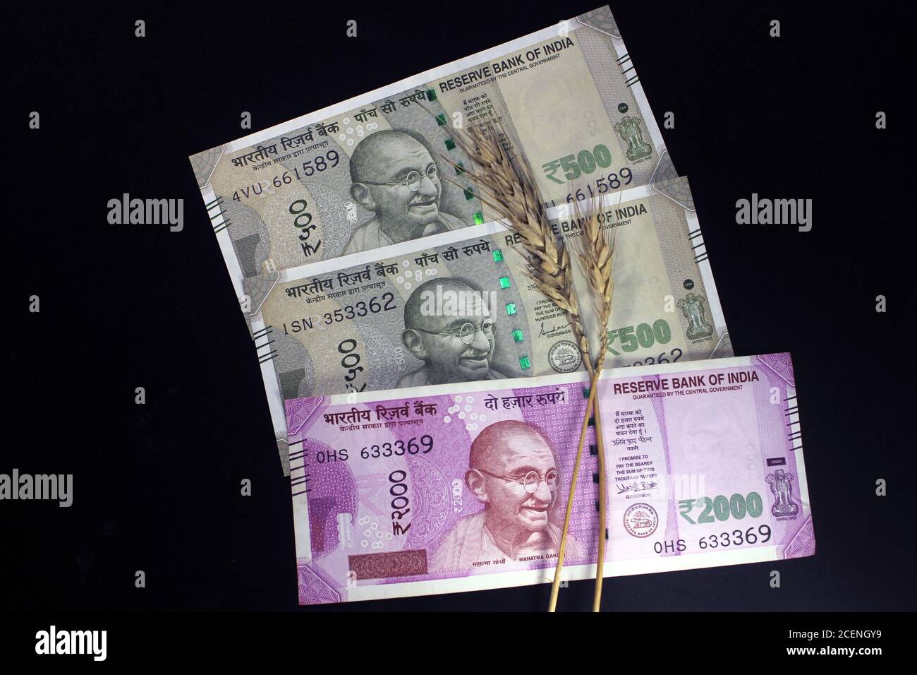 Neue indische Währungen. 500 und 2000 Rupien Noten mit Weizenkörnern. Indische Währung auf schwarzem Hintergrund isoliert. Stockfoto