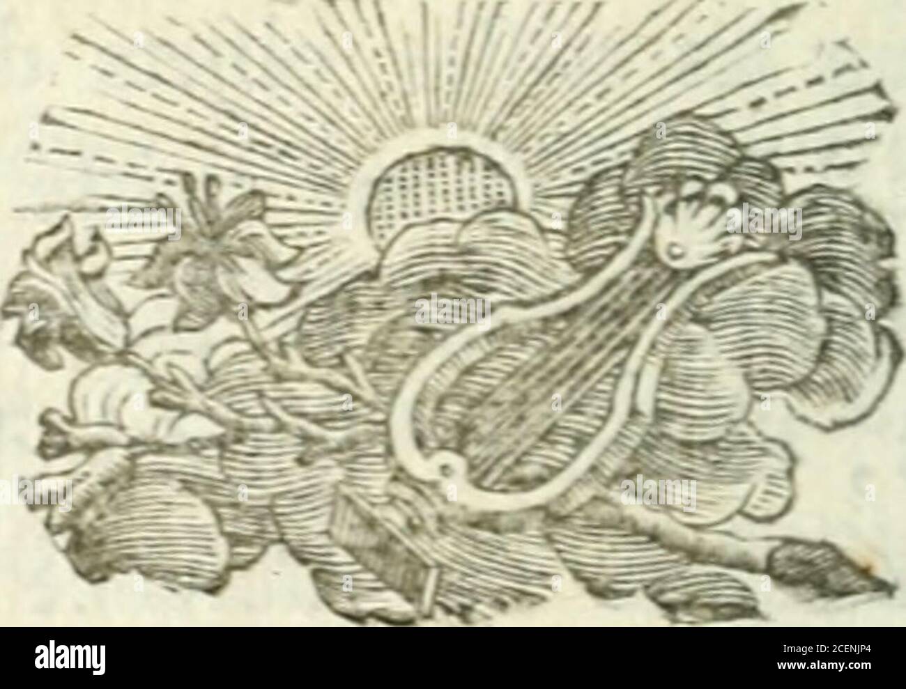 Freufe Stockfotos Und Bilder Kaufen Alamy