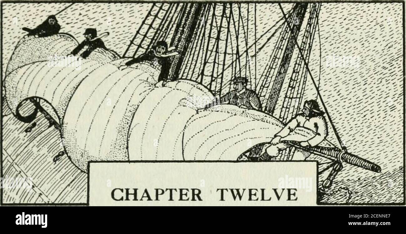 . Das Wikingerblut; eine Geschichte der Seefahrt. S theskull und Kreuzknochen in weiß. Onkel David schrie um Gnade, und Nickerson jabbing ihn in den Rücken mit der Spitze eines riesigen Steckbeckens. Dann änderte sich die Szene und der Kumpel goss Säcke goldener Herrscher in Schwalben und sagte ihm, dass er sie zu seiner Mutter nach Hause bringen solle. Buya Burg, Sohn, sagte er, und eine mit schönen Bäumen und Gärten mit wunderbaren Blumen – Blumen mit schönen Muscheln zu ihnen – Geranien, Rosen, Honig-suckles, Rhododendron, Mignonetten, und nicht vergessen Stiefmütterchen, hübsch samtblütige Stiefmütterchen – Es kam eine schreckliche Läuten von Stockfoto