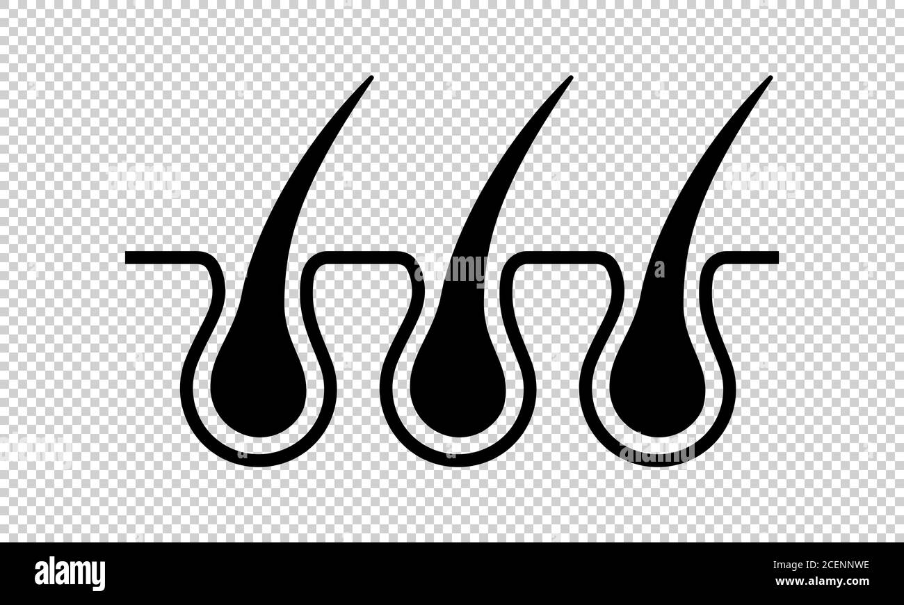 Symbol für Haarfollikel-Wachstumslinie. Trichoskopie: Medizinische Diagnostik der Kopfhaut. Laserenthaarung und Pflege der menschlichen Haut konzeptionelles Logo-Design für Stock Vektor