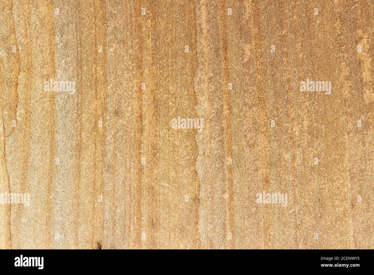 Die Oberfläche der Klippe aus gelbem und braunem Sandstein an der Küste, verwittert und verblasst in der Sonne. Stockfoto