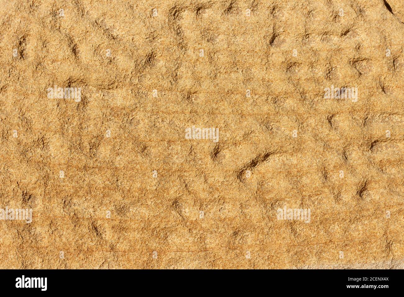 Die Oberfläche der Klippe aus gelbem und braunem Sandstein an der Küste, verwittert und verblasst in der Sonne. Stockfoto