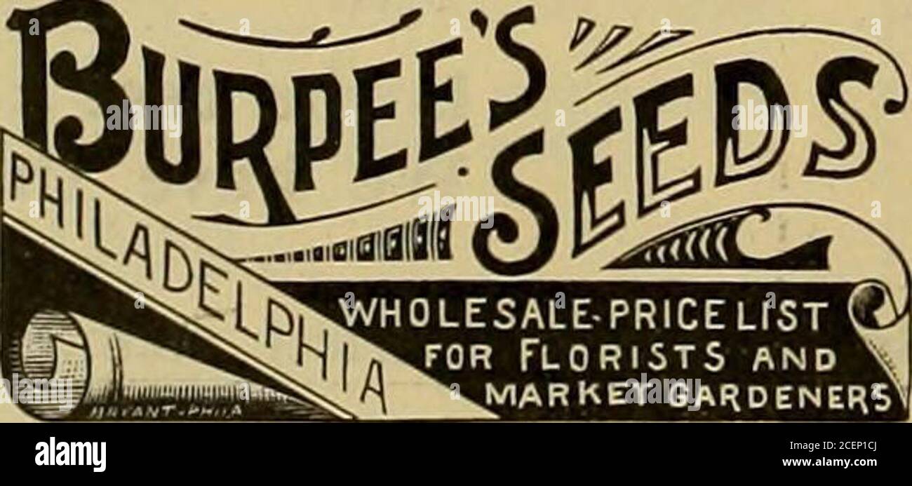 . Der Floristen-Austausch : ein wöchentliches Austauschmedium für Floristen, Baumschulen, Sämlinge und den Handel im Allgemeinen. Gegründet 1878. – Wenn Sie per Mail unsere neue und vollständige Preisliste fürSpring und SCMSIER 1S98POSTALISCH erhalten haben, senden wir Ihnen die Liste und unseren vollständigen Horiptive sehr schön Illus-trated Katalog. Nicht versäumen, beides zu bekommen. Es bedeutet GELD für Sie. Adresse H. H. BERGER & CO., 220 Broadway. NEW YORK.Wenn schriftlich erwähnen Florists Exchange   BESTOFALL TOM ATOL t FOB FUUCINU. § IeNGLISH MELONEN! G FOK. FOROINU. = EFIower Seeds für Floristen.! E CataloKueH auf anpllcatlon, 3 Stockfoto