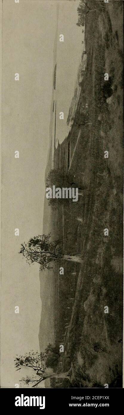 . Die Pracht, die Rom war; ein Überblick über die römische Kultur und Zivilisation:. o ■ft. W zwg H « i-i EROBERUNG selbst, jetzt in den Händen der kommerziellen Oligarchen, gab himgroudging und unsichere Unterstützung. Die Standhaftigkeit und Höflichkeit des römischen Senats und der Menschen waren erstaunlich. Immer wieder auf dem Feld im Tessin, in Trebia, LakeTrasimene und Cannae geschlagen, verlor Rom nie ihren Stolz. Sherefused Angebote der Hilfe von König Hiero von Syrakus, sie konnte Zeit finden, um die illyrischen Häuptlinge zu befohlen, ihre Tribut zu zahlen, sheactually rief Philipp von Macedon herfugitive Rebell Demetrius zu übergeben. Sie behielt ein Stockfoto