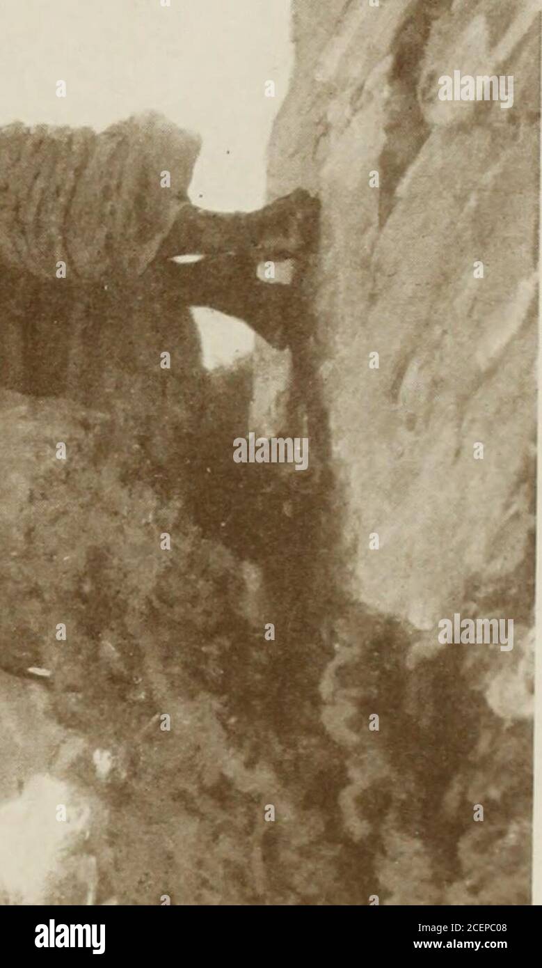 . International Studio ein Illustriertes Magazin für bildende und angewandte Kunst. Stockfoto