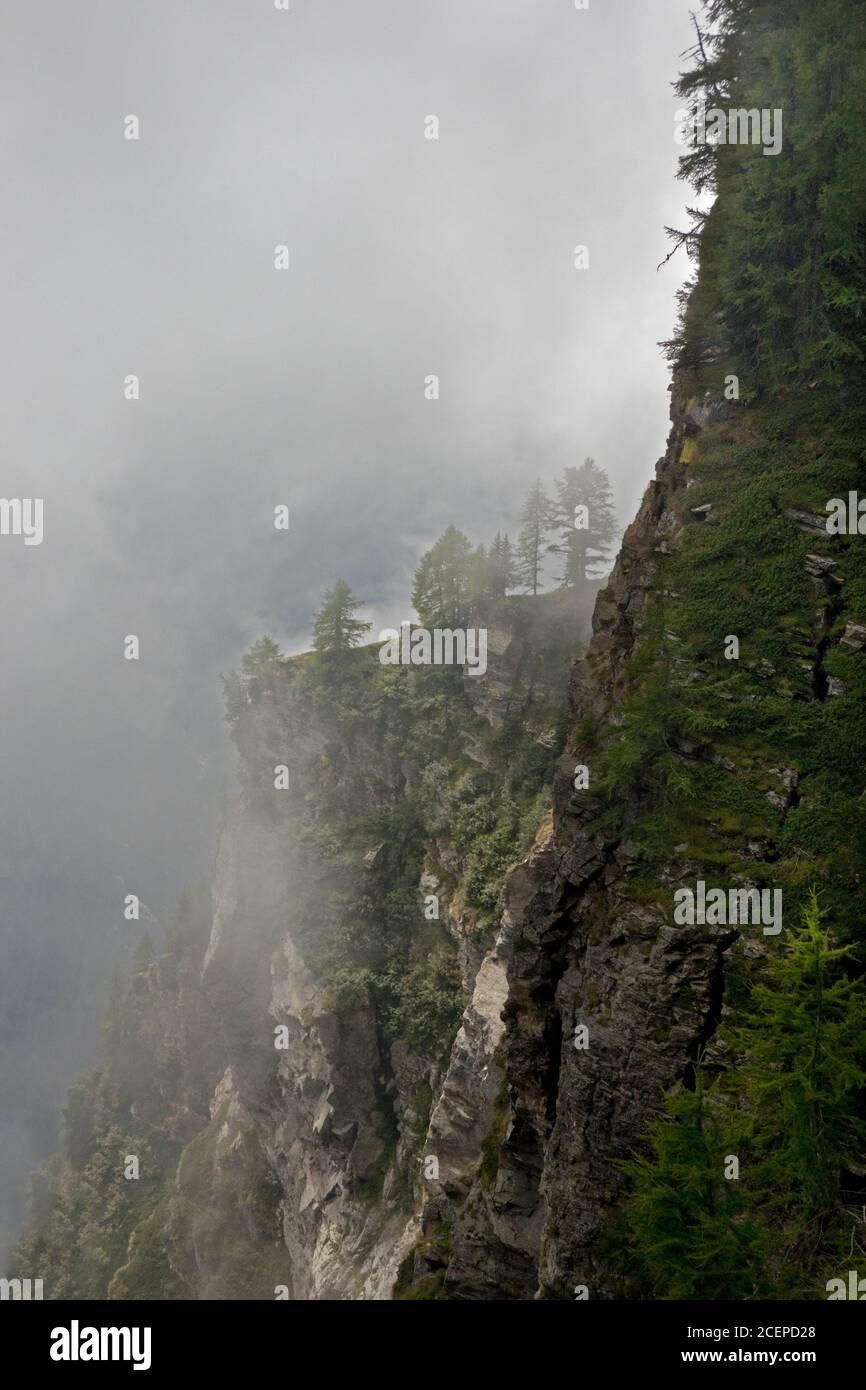 Nebelschlucht in den Schweizer alpen Stockfoto