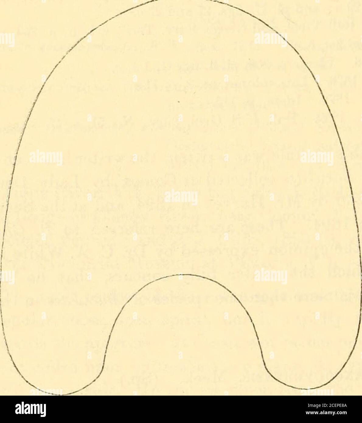 . Mesozoische Fossilien. S. 98 (163, pi. xvi (XXII), Feigen. 1 a und 1 h; und pi. XVII (XXIII) Abb. 1. Zwei Exemplare aus der Vancouver Kreidezeit wurden von Dr. Kossmat mit dieser indischen Art identifiziert. Einer von ihnen, die der Schriftsteller nicht gesehen hat, wird gesagt, dass ein feiner Speci-Männer in Nanai-Mo, V. I., von Sir JamesHector (vermutlich in 1860) und jetzt in der Natura History De-Abteilung des BritishMuseum gesammelt werden. Tiie andere, Nr. 14 der Kleinserien von Ammoniten wurden an Dr. Kossmat, und das Original der Figur 1 auf Platte 46, ist ein gut vorserviertes Exemplar, das auf Hornby Island von Mr. F. W. Robbins, in, gesammelt wurde Stockfoto