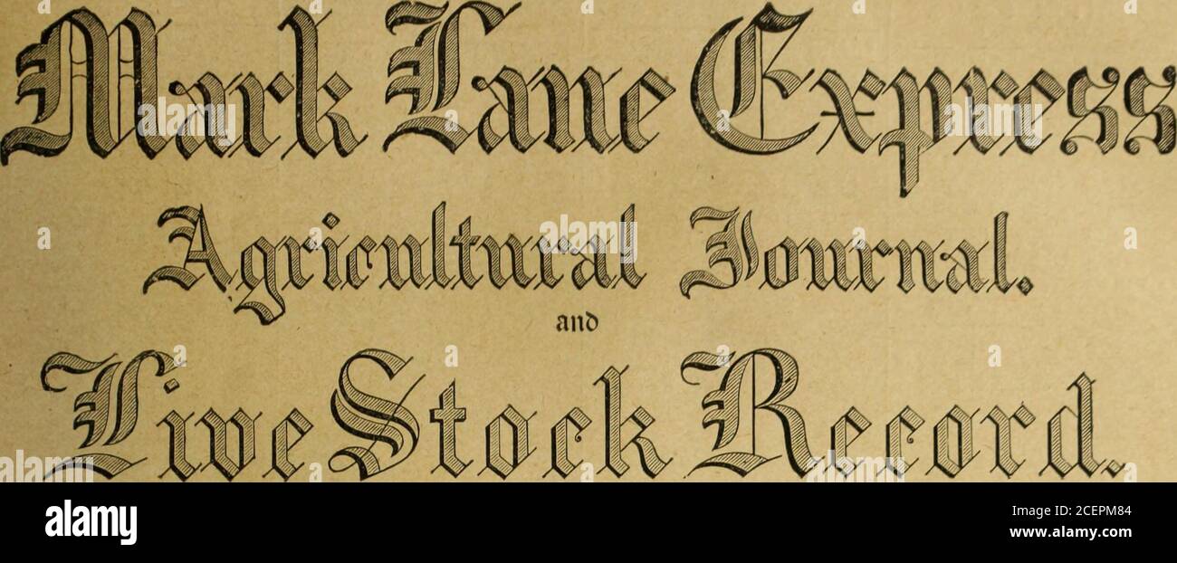 . Die Mark Lane Express, Landwirtschaftszeitschrift & c. ch sind jetzt bereit, sollten Herrn Cyril Dunkley,Wednesfield, Wolverhampton, gemacht werden, an den alle Verwertungen im Hinblick auf den Verlegewettbewerb gerichtet werden sollten. Die Einträge sind am Samstag, 16. September 1905, geschlossen. Einzelheiten über die Mitgliedschaft im Verein erhalten Sie vielleicht vom Hon. Secretary, Mr. E. W.Richardson, 260, Nantwich-Road, Crewe. BRAUER, MÄLZER, DISTILLERS UND ALLIIERTE HÄNDLER* . 27. JÄHRLICH . AUSSTELLUNG UND MARKT, ROYAL AGRICULTURAL HALL, LONDON, N, OKTOBER f<* zum Malz- und Saatgerstenwettbewerb ( EINTRÄGE CLOSEVOCTOBER 4 Stockfoto