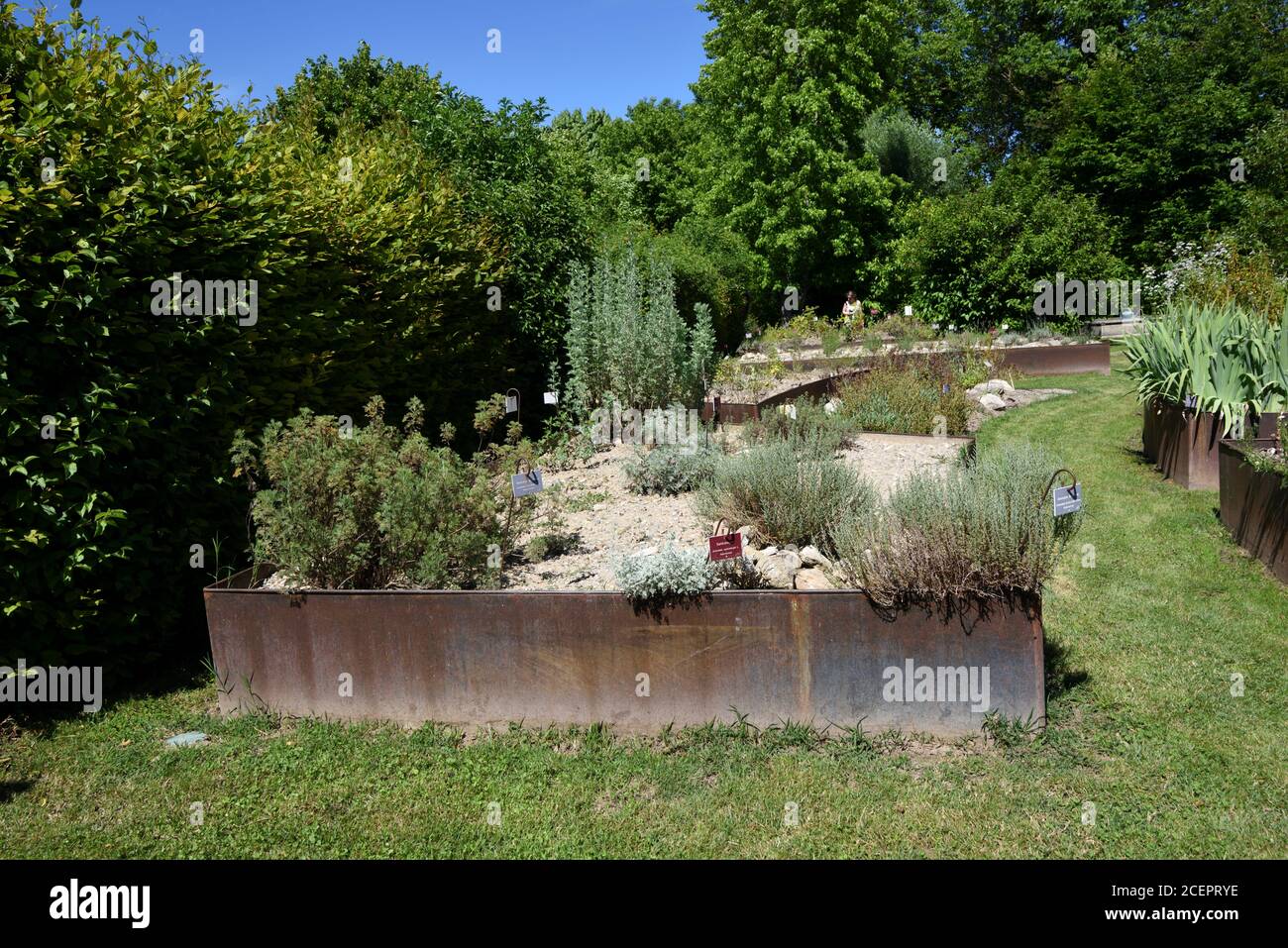 Metallhochbetten in den Gärten von Salagon, Jardin de Senteurs, Mane Alpes-de-Haute-Provence Frankreich Stockfoto