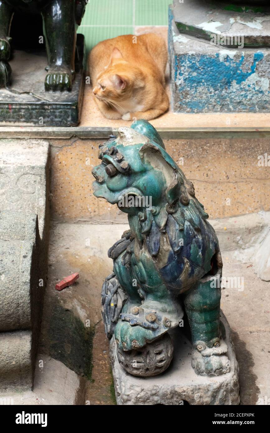 Eine Ingwerkatze, die zwischen Katzenstatuen in einem alten chinesischen buddhistischen Tempel in Südostasien sitzt. Es sieht seitlich wie die Statue aus Stockfoto