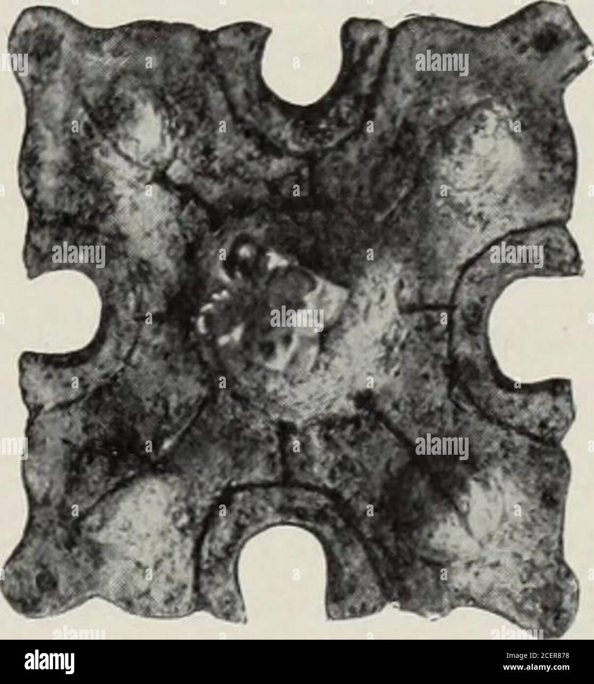 . International Studio ein Illustriertes Magazin für bildende und angewandte Kunst. Stockfoto