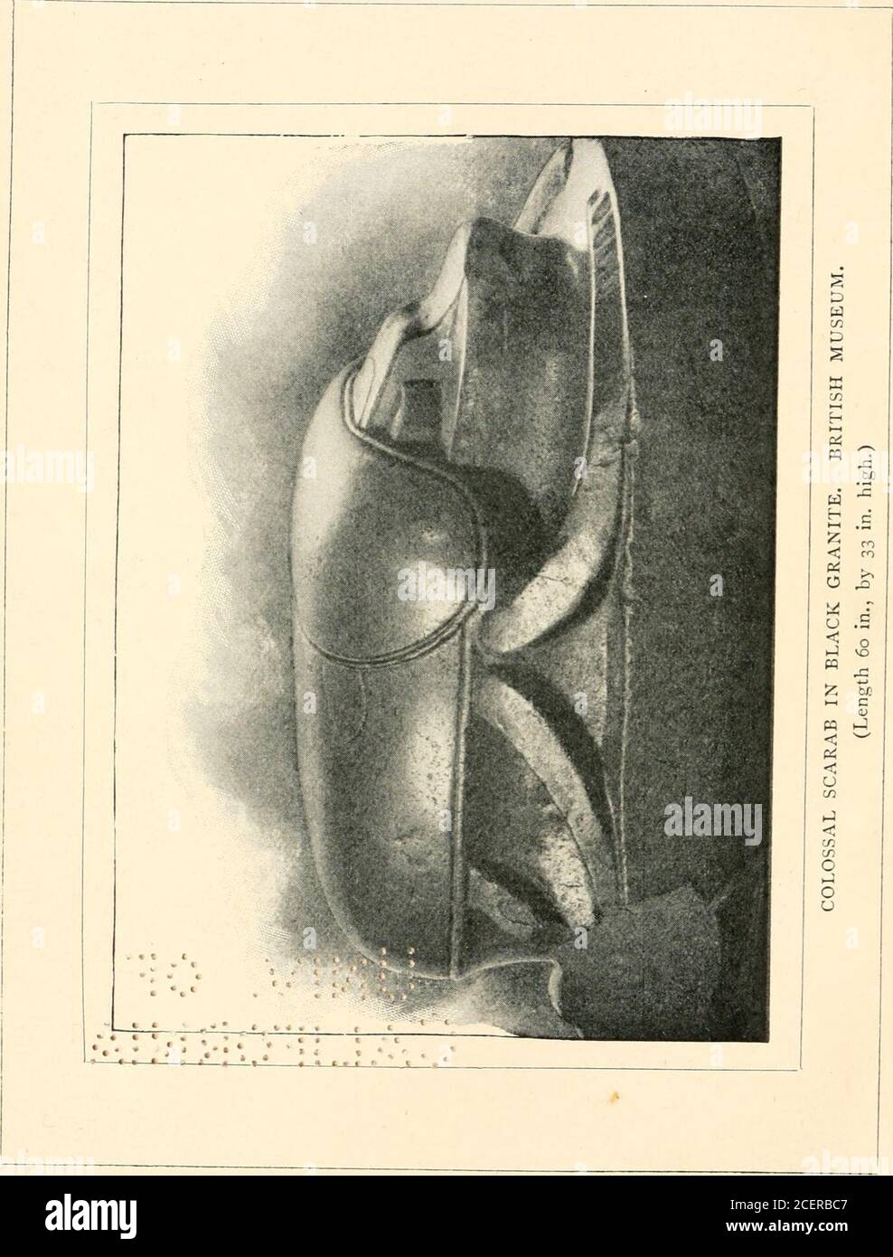 . Der heilige Käfer: Eine populäre Abhandlung über ägyptische Skarabäen in Kunst und Geschichte. DER HEILIGE KÄFER EINE POPULÄRE ABHANDLUNG ÜBER ÄGYPTISCHE SCARABSIN KUNST UND GESCHICHTE. VON JOHN WARD, F.S.A. AUTOR VON PYRAMIDEN UND FORTSCHRITT, GRIECHISCHE MÜNZEN UND IHRE MUTTERSTÄDTE, ETC. FÜNFHUNDERT BEISPIELE VON SKARABÄEN UND ZYLINDER, DIE ÜBERSETZUNGEN VON F. LLEWELLYN GRIFFITH, M.A. die Unterscheidung der Stile von Skarabäen ist ebenso ein besonderes Thema] wie dieDiskriminierung der Art und Weise der Maler, Und so unsichtbar für die, die mit der Studie nicht vertraut sind. Dr. Flinders Petrie, Historische Skarabäen. LONDON: JOHN MURRAY, ALBEMARLE S. Stockfoto