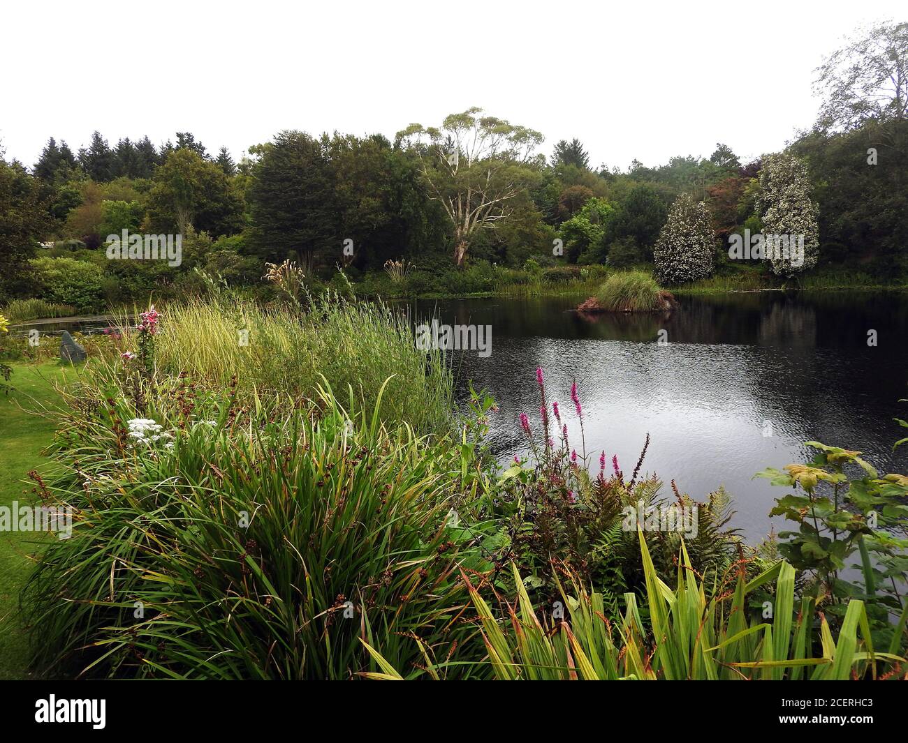 Glenwhan Gardens, & Arboretum, Dunragit, Stranraer, Schottland. Dieser 12 Hektar große Garten, der aus dem schottischen Moorland geschnitzt wurde, zieht jedes Jahr Tausende an. Begonnen im Jahr 1979, sind die Gärten ein Werk in Arbeit mit 17 Hektar umliegenden Moorland, Feuchtgebiet und Moore noch nicht entwickelt. Stockfoto