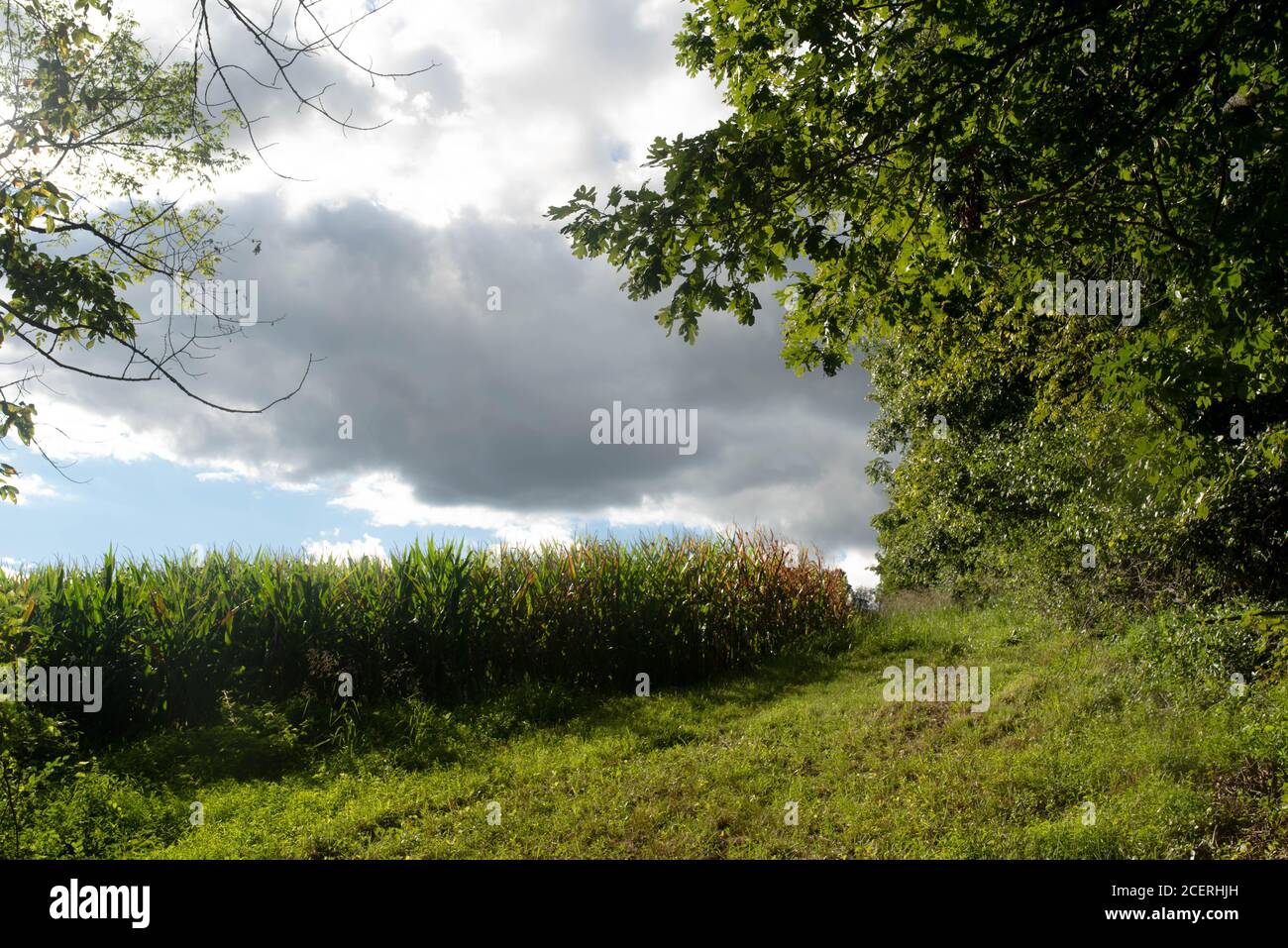 Idyllische ländliche Landschaft wird von dunklen Wolken in diesem schönen Vollformat-Bild in natürlichem Licht mit Kopierraum überholt. Stockfoto